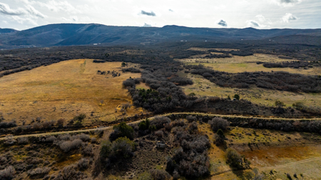 Bull Basin Meadows Ranch - Colorado Mountain Hunting Ranch - image 18