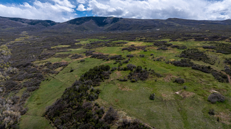 Colorado Mountain Hunting Ranch - Bull Basin Meadows - image 41
