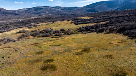 Bull Basin Meadows Ranch - Colorado Mountain Hunting Ranch - image 28