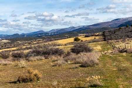 Bull Basin Meadows Ranch - Colorado Mountain Hunting Ranch - image 8
