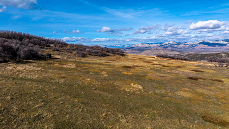 Bull Basin Meadows Ranch - Colorado Mountain Hunting Ranch - image 38
