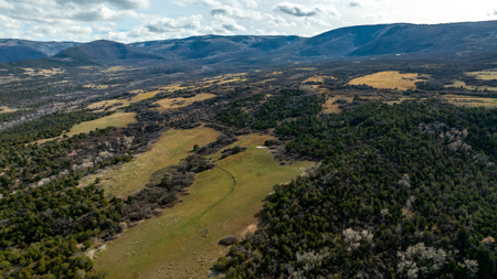 Bull Basin Meadows Ranch - Colorado Mountain Hunting Ranch - image 17