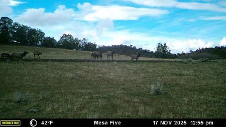 Bull Basin Meadows Ranch - Colorado Mountain Hunting Ranch - image 1