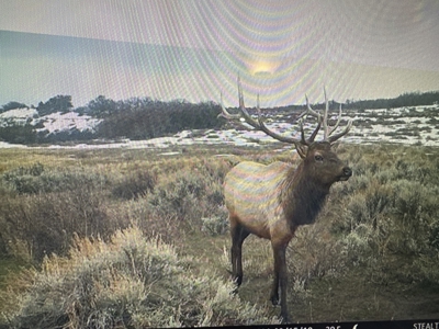 Bull Basin Meadows Ranch - Colorado Mountain Hunting Ranch - image 39