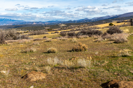 Bull Basin Meadows Ranch - Colorado Mountain Hunting Ranch - image 10