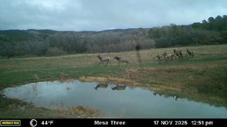 Bull Basin Meadows Ranch - Colorado Mountain Hunting Ranch - image 44