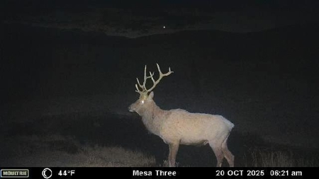 Bull Basin Meadows Ranch - Colorado Mountain Hunting Ranch - image 43
