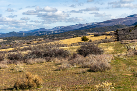 Bull Basin Meadows Ranch - Colorado Mountain Hunting Ranch - image 9