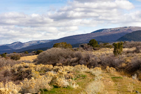 Bull Basin Meadows Ranch - Colorado Mountain Hunting Ranch - image 49