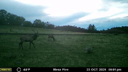 Bull Basin Meadows Ranch - Colorado Mountain Hunting Ranch - image 46