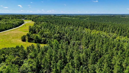 108-Acre Homestead & Timber Tract | Private Pond & Hay Fields - image 8