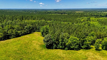 108-Acre Homestead & Timber Tract | Private Pond & Hay Fields - image 7
