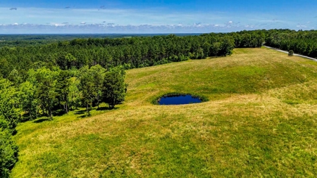 108-Acre Homestead & Timber Tract | Private Pond & Hay Fields - image 5