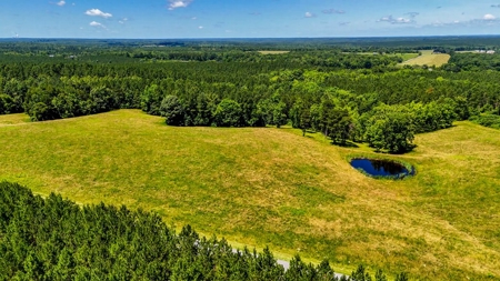 108-Acre Homestead & Timber Tract | Private Pond & Hay Fields - image 6