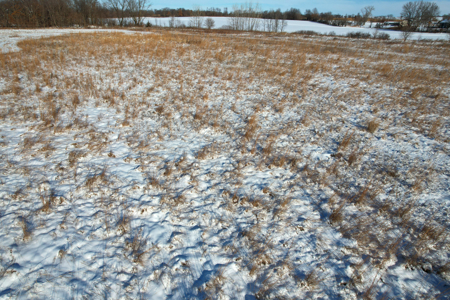 Van Buren County Iowa Investment & Tillable Farm - image 28