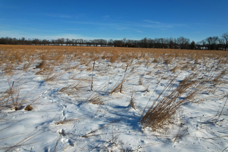 Van Buren County Iowa Investment & Tillable Farm - image 19