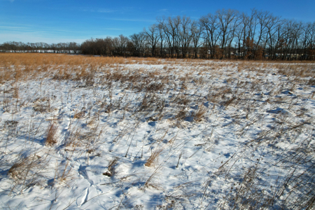 Van Buren County Iowa Investment & Tillable Farm - image 9