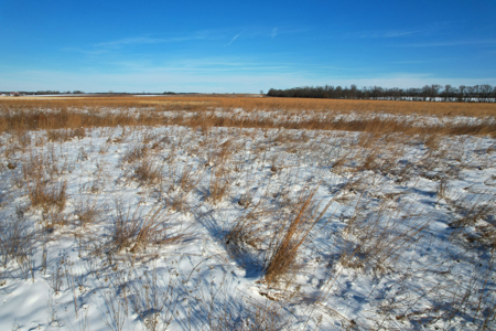 Van Buren County Iowa Investment & Tillable Farm - image 14