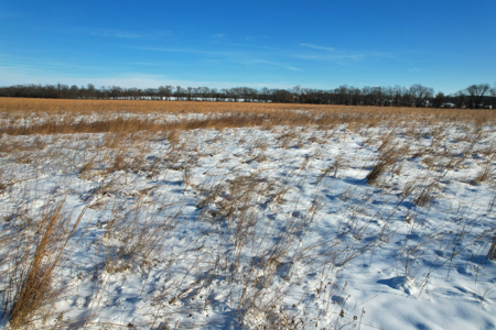 Van Buren County Iowa Investment & Tillable Farm - image 12