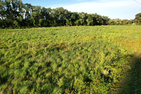 Van Buren County Iowa Investment & Tillable Farm - image 27
