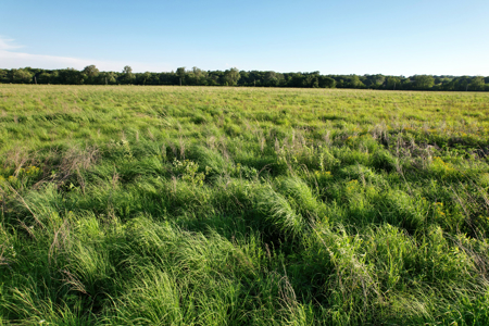 Van Buren County Iowa Investment & Tillable Farm - image 15