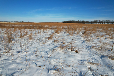 Van Buren County Iowa Investment & Tillable Farm - image 18