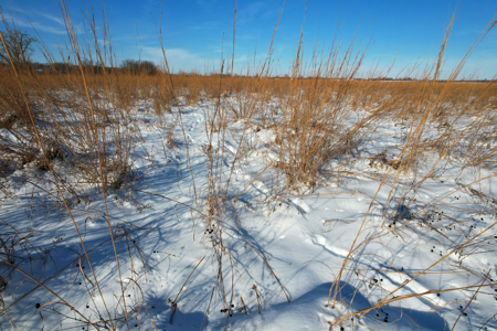 Van Buren County Iowa Investment & Tillable Farm - image 27