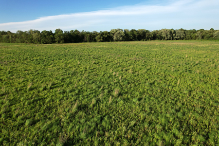 Van Buren County Iowa Investment & Tillable Farm - image 13