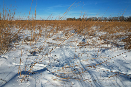 Van Buren County Iowa Investment & Tillable Farm - image 5