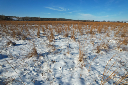 Van Buren County Iowa Investment & Tillable Farm - image 31