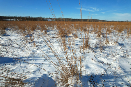 Van Buren County Iowa Investment & Tillable Farm - image 10