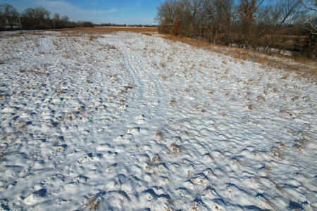 Van Buren County Iowa Investment & Tillable Farm - image 30