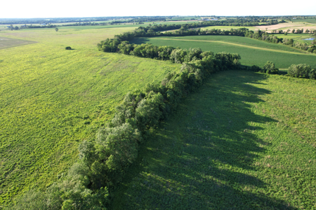 Van Buren County Iowa Investment & Tillable Farm - image 3