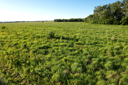 Van Buren County Iowa Investment & Tillable Farm - image 26