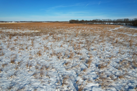 Van Buren County Iowa Investment & Tillable Farm - image 24