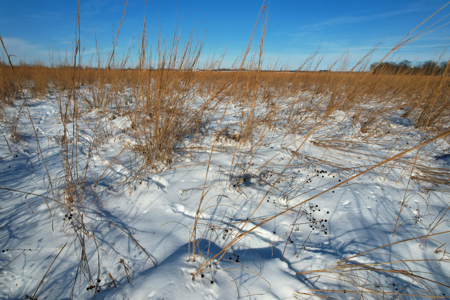 Van Buren County Iowa Investment & Tillable Farm - image 16