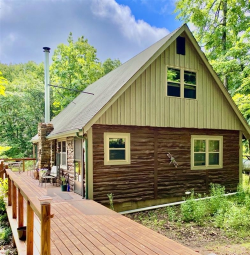 Cabin in the Ozarks