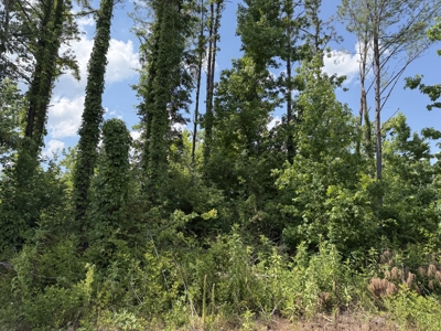 Land For Sale In Tn, 8.77 Acres+/- In Mcnairy County, Tn - image 15
