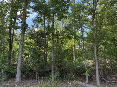 Land For Sale In Tn, 8.77 Acres+/- In Mcnairy County, Tn - image 13