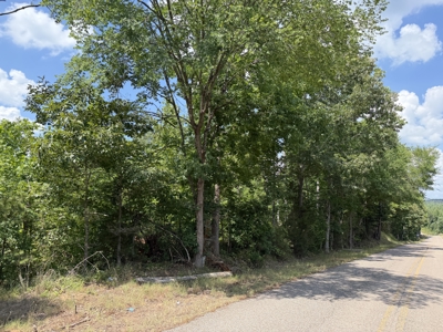 Land For Sale In Tn, 8.77 Acres+/- In Mcnairy County, Tn - image 17