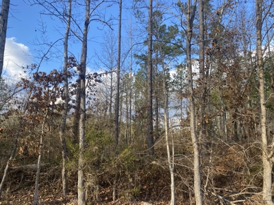 Land For Sale In Tn, 8.77 Acres+/- In Mcnairy County, Tn - image 6