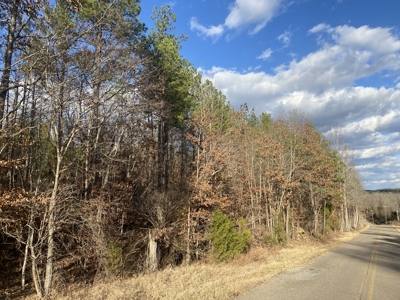 Land For Sale In Tn, 8.77 Acres+/- In Mcnairy County, Tn - image 8