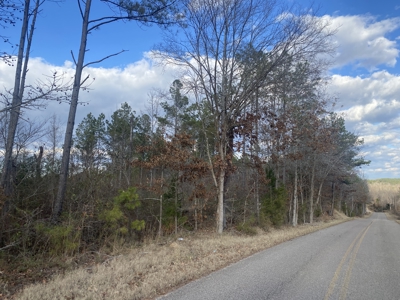 Land For Sale In Tn, 8.77 Acres+/- In Mcnairy County, Tn - image 4