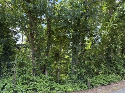 Land For Sale In Tn, 8.77 Acres+/- In Mcnairy County, Tn - image 14