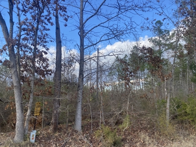 Land For Sale In Tn, 8.77 Acres+/- In Mcnairy County, Tn - image 5