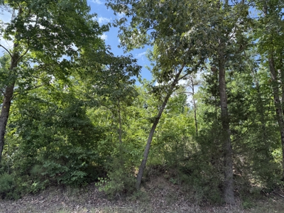 Land For Sale In Tn, 8.77 Acres+/- In Mcnairy County, Tn - image 16