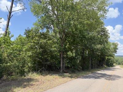 Land For Sale In Tn, 8.77 Acres+/- In Mcnairy County, Tn - image 12