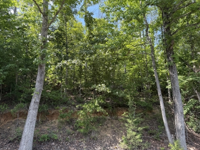 Land For Sale In Tn, 11.6 Acres+/- In Mcnairy County, Tn - image 17