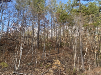 Land For Sale In Tn, 11.6 Acres+/- In Mcnairy County, Tn - image 4