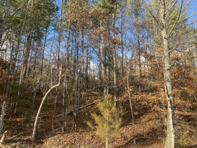 Land For Sale In Tn, 11.6 Acres+/- In Mcnairy County, Tn - image 5